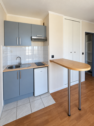  Appartement à louer 1 pièce 25 m²