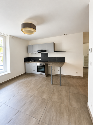 Vente Appartement QUARTIER PEPINIERE, CANAL JOLIE T2 AVEC CAVE 10 MM DE LA PLACE STANISLAS Nancy