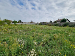  Terrain à vendre 1000 m²