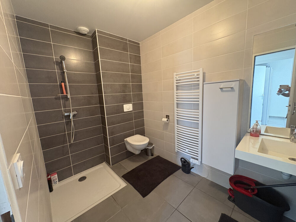 Location Appartement Appartement idéal retraités ou PMR St rambert d albon