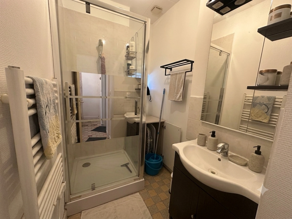 Vente Appartement Spécial Investisseur   Appartement T2 bis vendu loué   Centre de Vienne Vienne