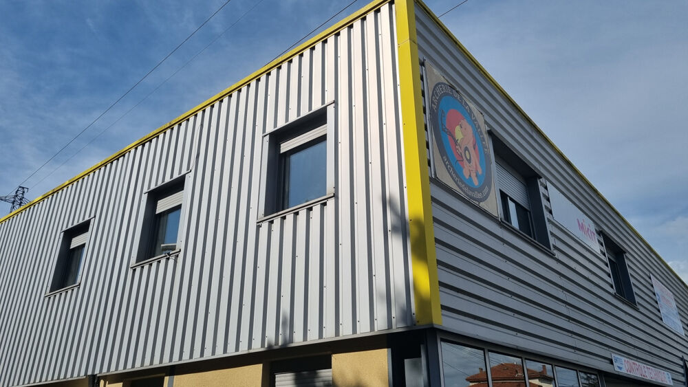   Local professionnel + habitation Chanas