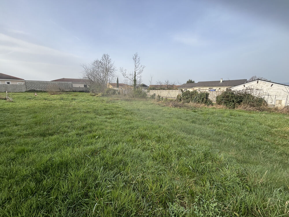Vente Terrain Terrain constructible de 500 m2   Assieu Assieu