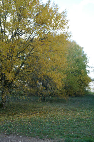  Terrain � vendre 1134 m�