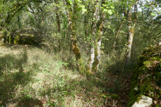  Terrain  vendre 4260 m