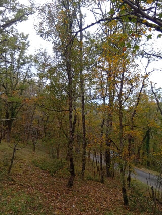  Terrain � vendre 4260 m�