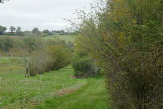  Terrain � vendre 1134 m�