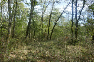  Terrain � vendre 4260 m�