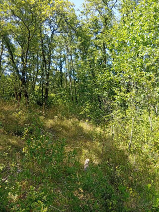  Terrain � vendre 4260 m�