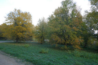  Terrain � vendre 1134 m�