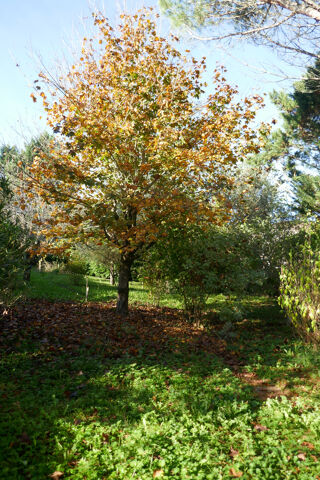  Maison � vendre 8 pi�ces 180 m�