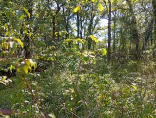  Terrain � vendre 4260 m�