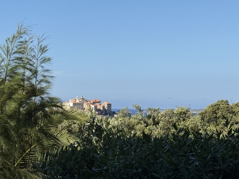Vente Appartement TYPE 2 AVEC JARDINET DANS PETITE COPROPRIETE Calvi