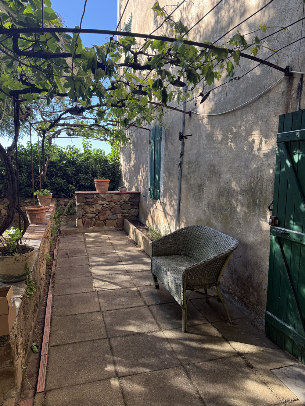 IMMEUBLE 3 appartements - CALENZANA