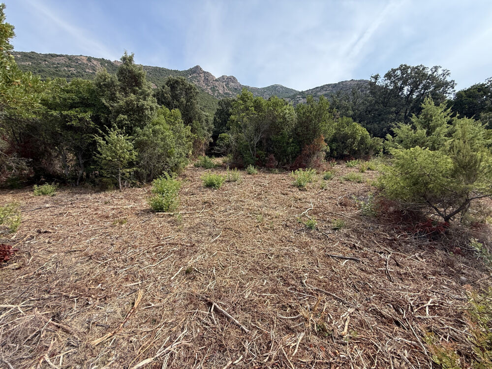 Vente Terrain Terrain à bà¢tir 3300 m2 avec vue mer Galeria