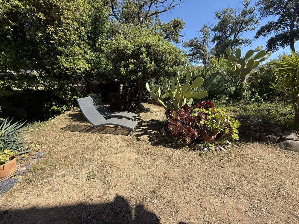 Vente Appartement TYPE 2 AVEC JARDINET DANS PETITE COPROPRIETE Calvi