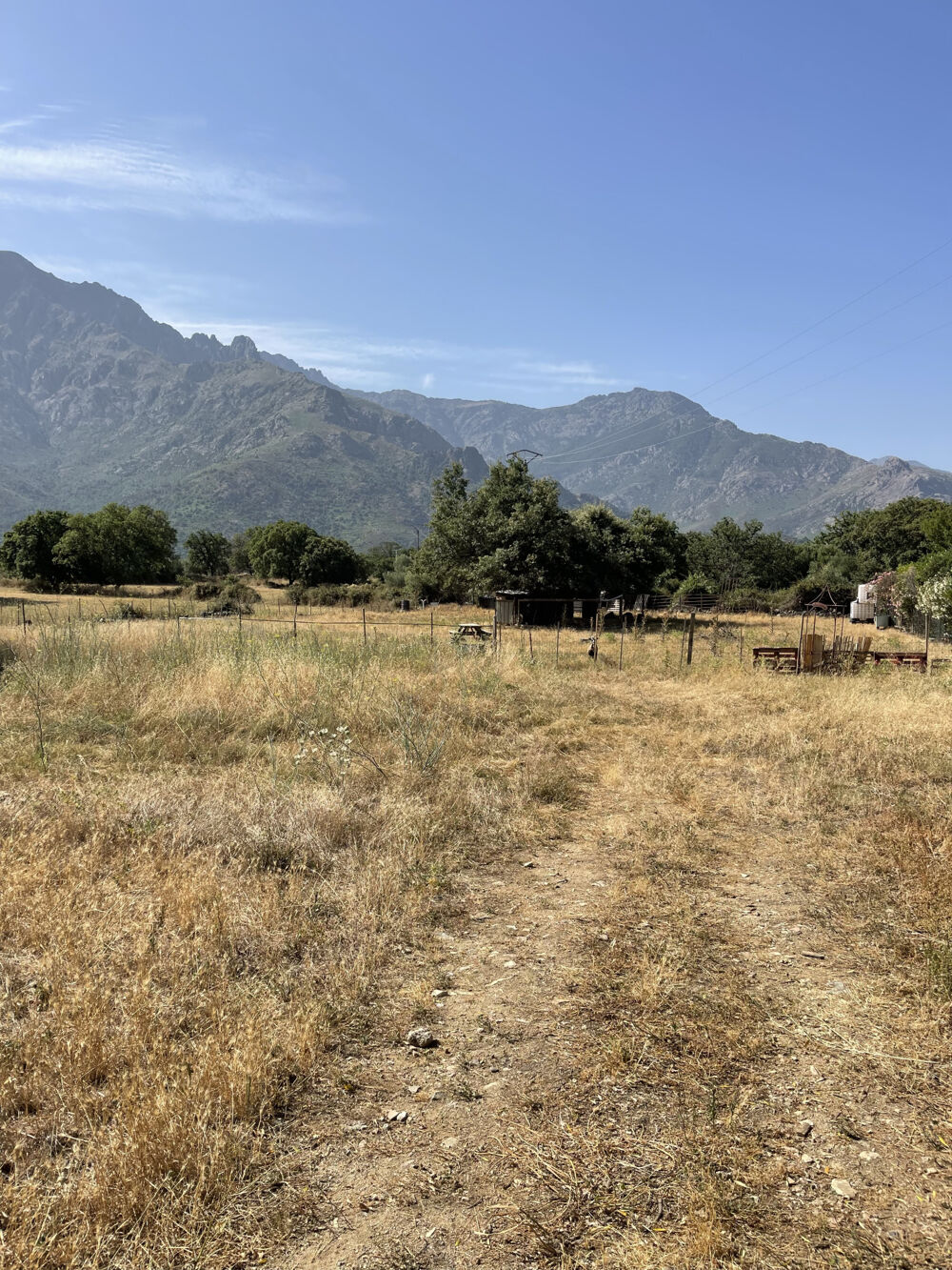 Vente Terrain TERRAIN constructible 2790 m2 Montegrosso