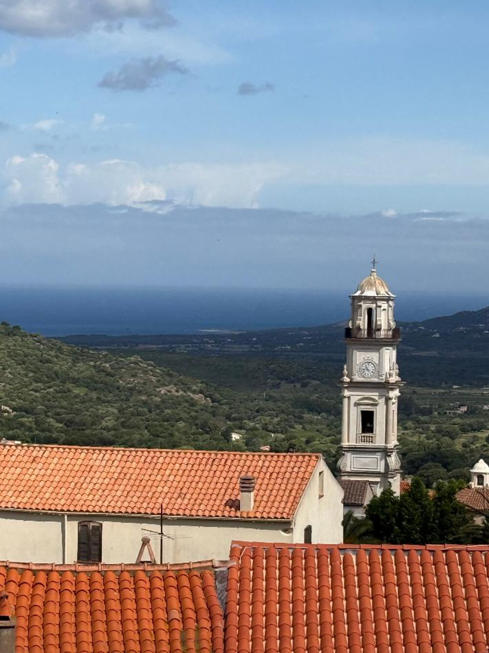 IMMEUBLE 3 appartements - CALENZANA