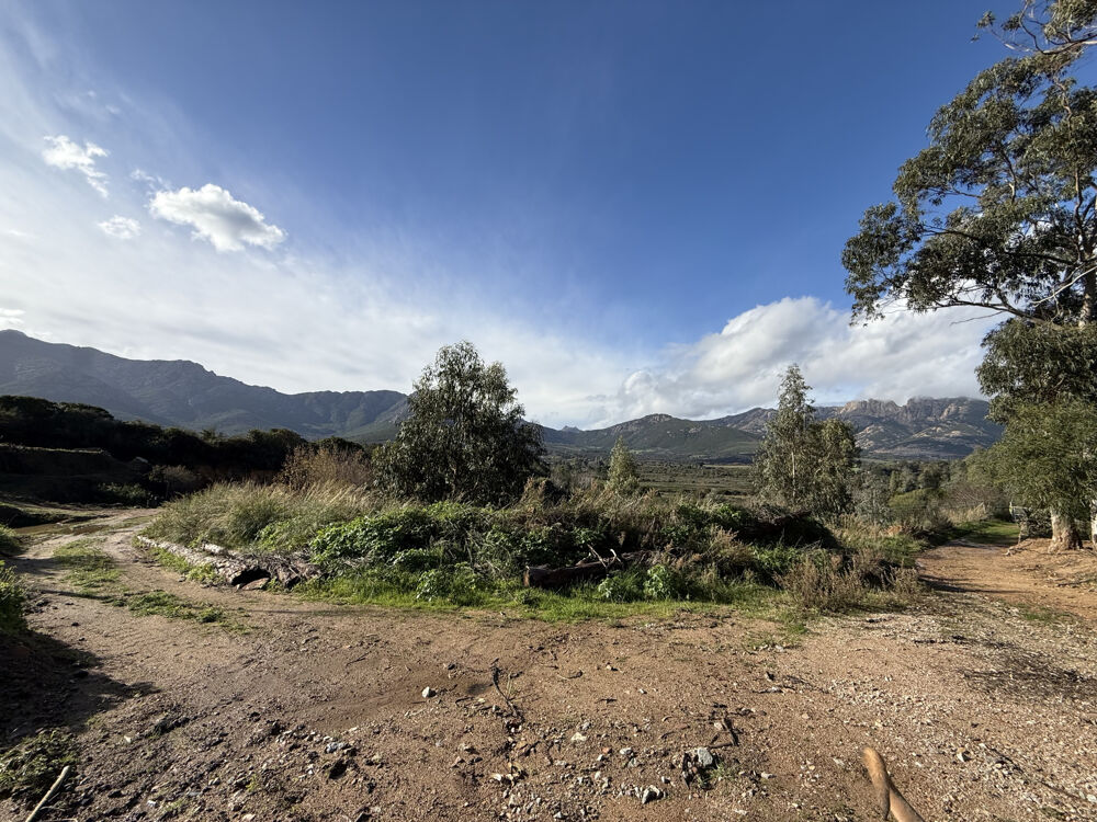 Vente Terrain PARCELLE DE TERRAIN CONSTRUCTIBLE 2620 M2  VUE MER ET MONTAGNES - MONCALE Moncale