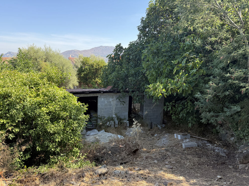 Vente Maison Parcelle de terrain 300 m2 avec ruine Calenzana