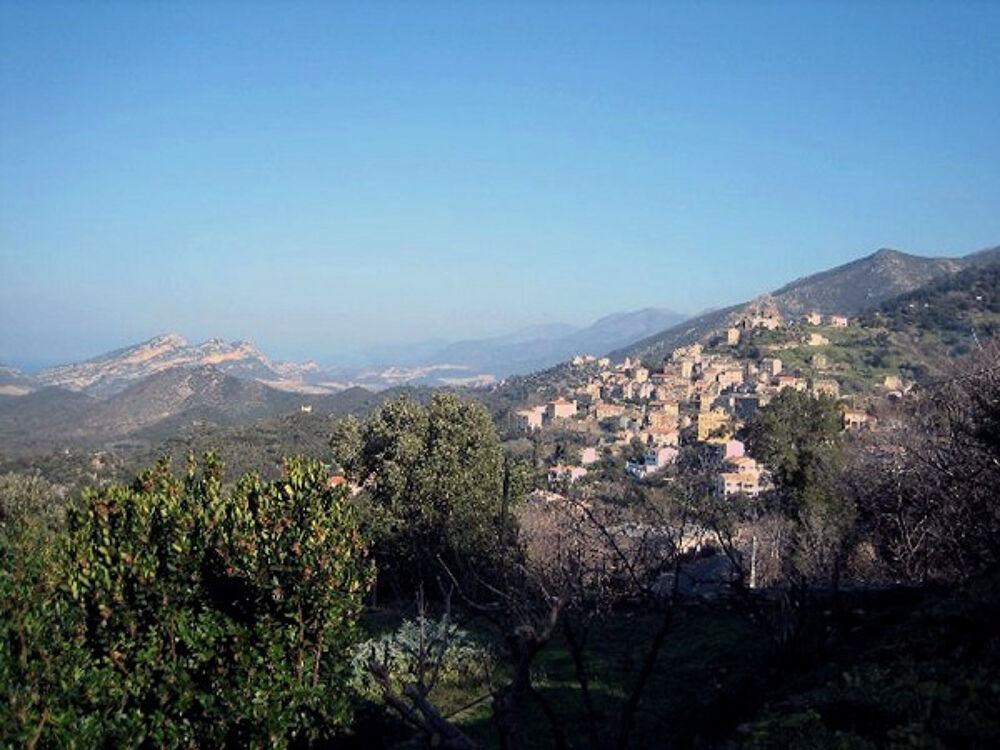 Maison de village à vendre avec 5 pièces à Oletta (20)