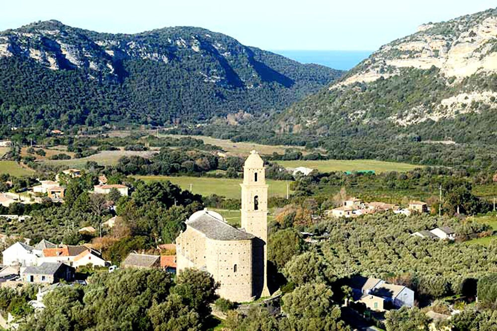 à vendre  Maison Patrimonio (20253)