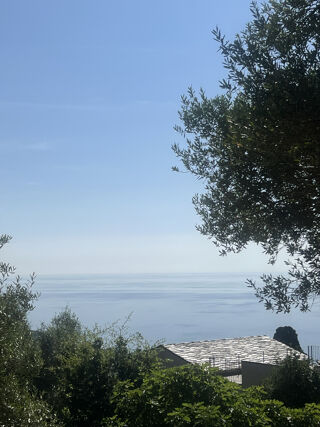  Terrain  vendre 1168 m