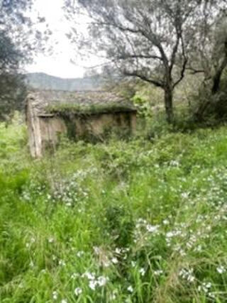  Terrain � vendre 4319 m�