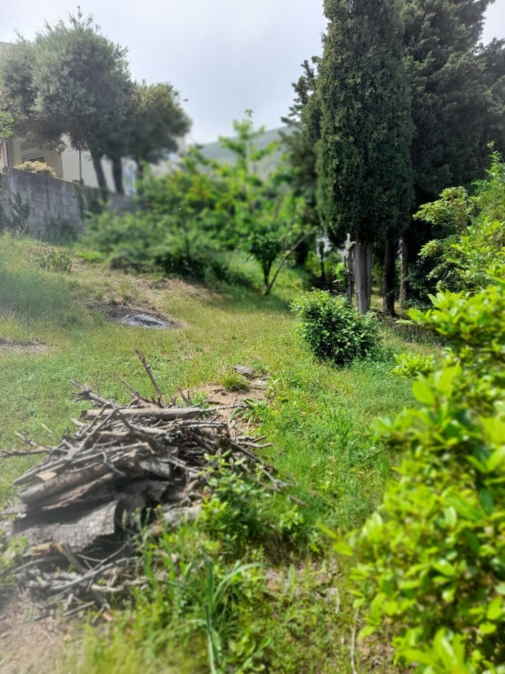 à vendre  Maison Brando (20222)