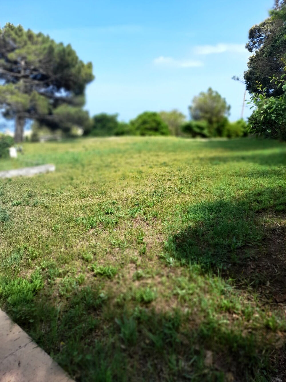 � vendre  Maison Brando (20222)