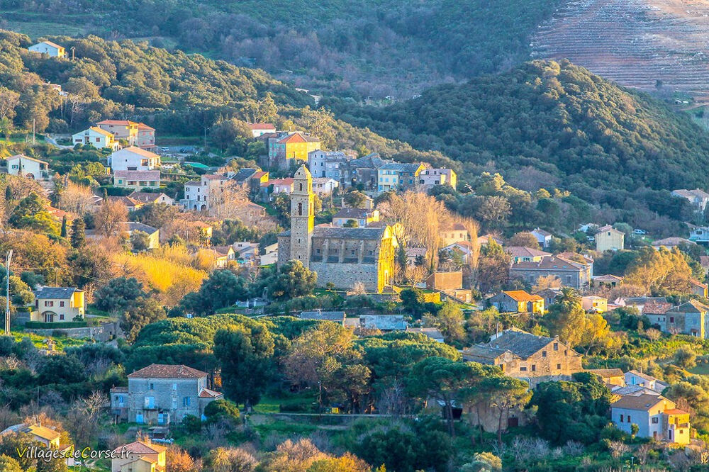 à vendre  Maison Patrimonio (20253)