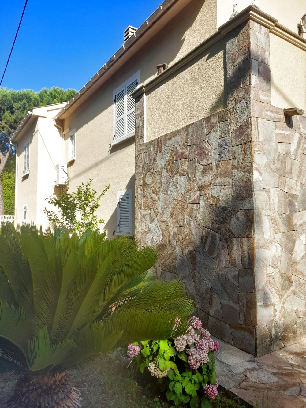 à vendre  Maison Patrimonio (20253)