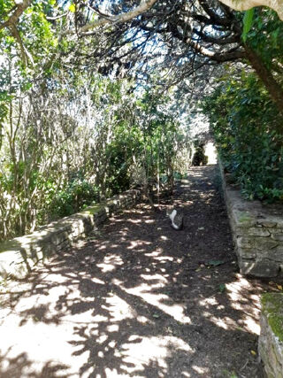  Maison � vendre 8 pi�ces 190 m�