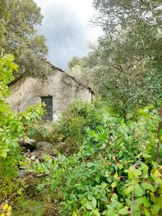  Terrain � vendre 4319 m�