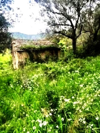  Terrain � vendre 4319 m�