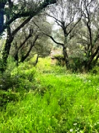  Terrain � vendre 4319 m�