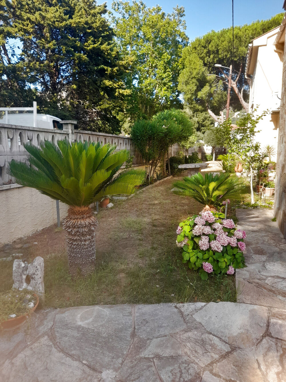 à vendre  Maison Patrimonio (20253)