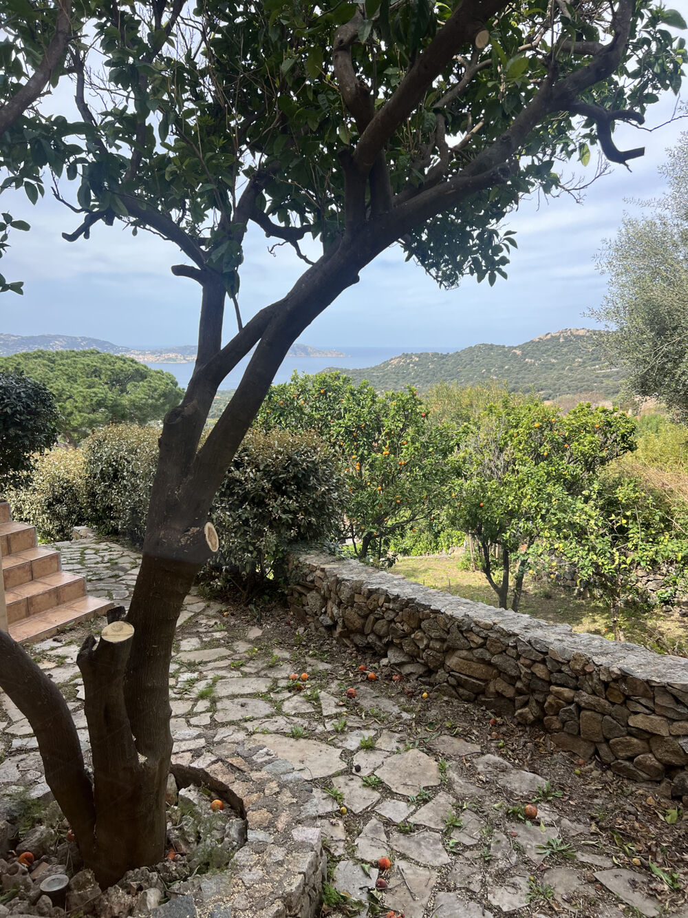 Vente Maison Superbe villa récente avec piscine et jardin sur la commune prisée de Lumio Balagne Lumio