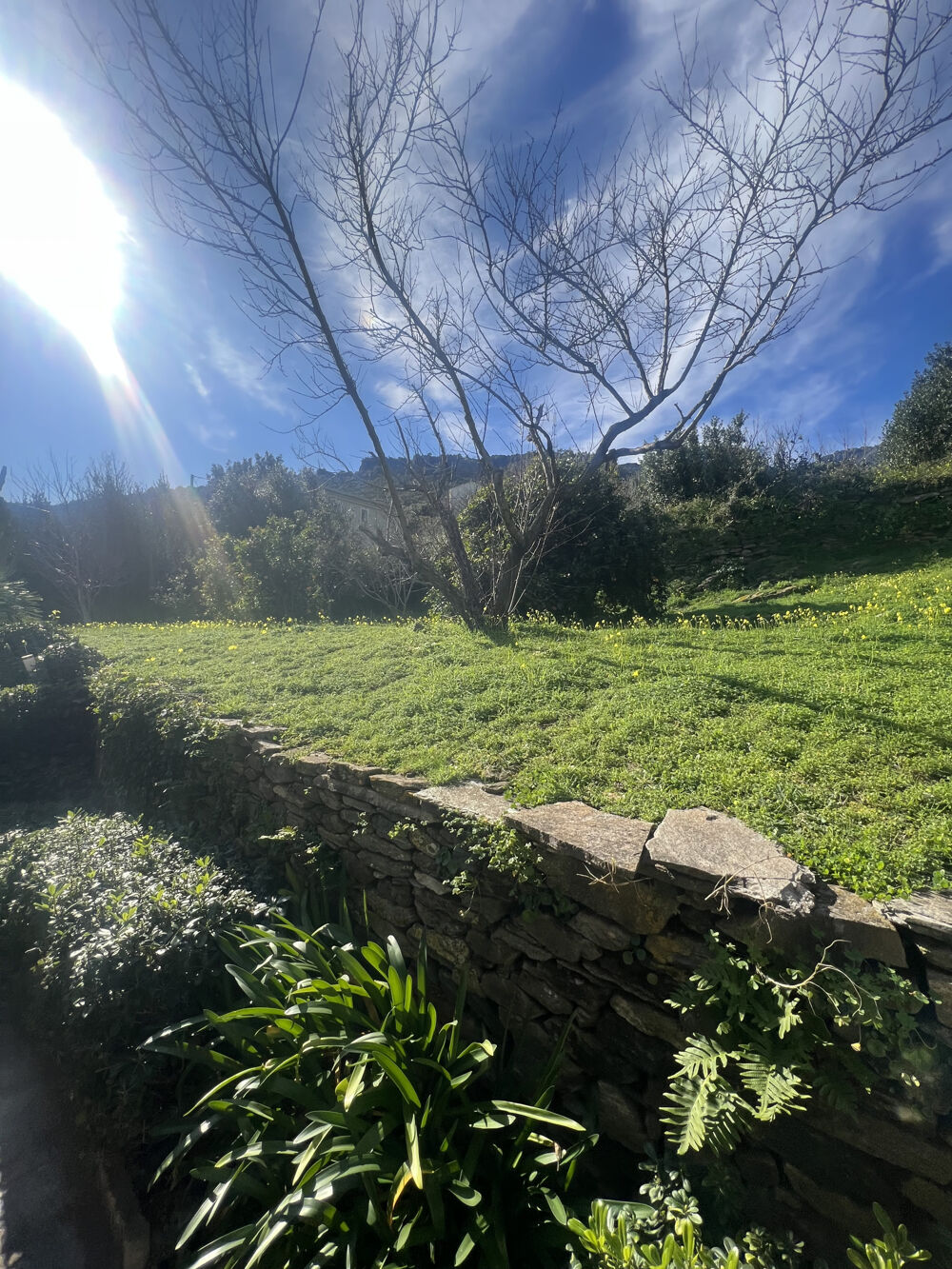  vendre  Maison Brando (20222)