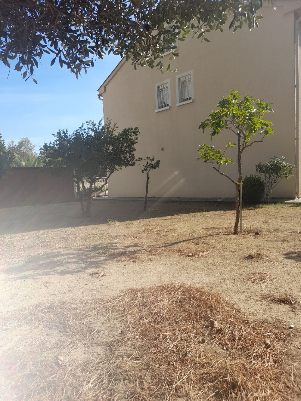 à vendre  Maison Patrimonio (20253)