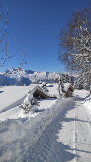  Appartement � vendre 4 pi�ces 122 m�