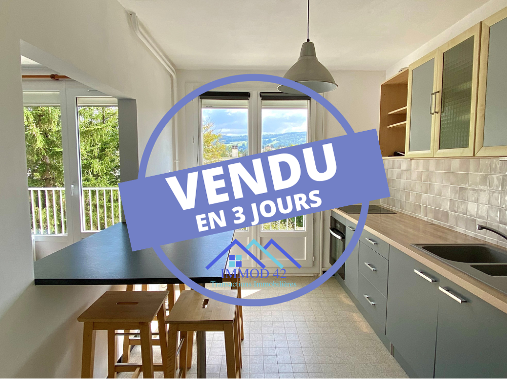 Vente Appartement Appartement T2 + parking - La Vivaraize St etienne