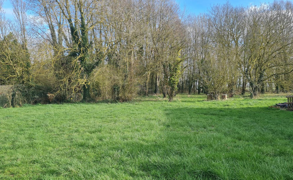 Vente Terrain Terrain 581 m2 à bâtir Bavinchove