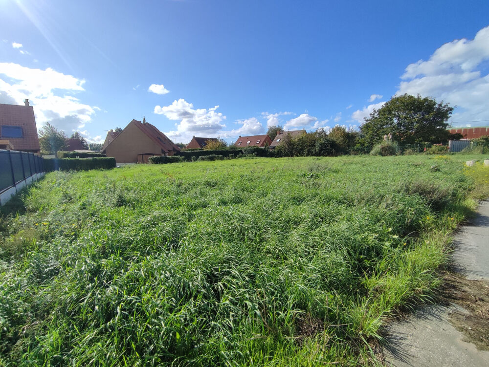 Vente Terrain TERRAINS A BATIR Arneke