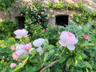  Maison � vendre 12 pi�ces 302 m�