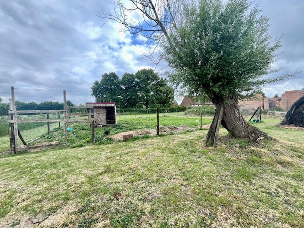 Vente Terrain Terrain � b�tir Morbecque