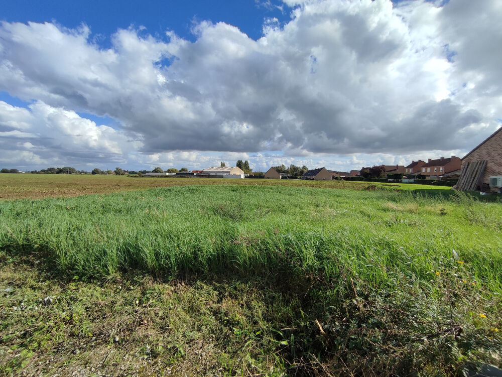 Vente Terrain TERRAINS A BATIR Arneke