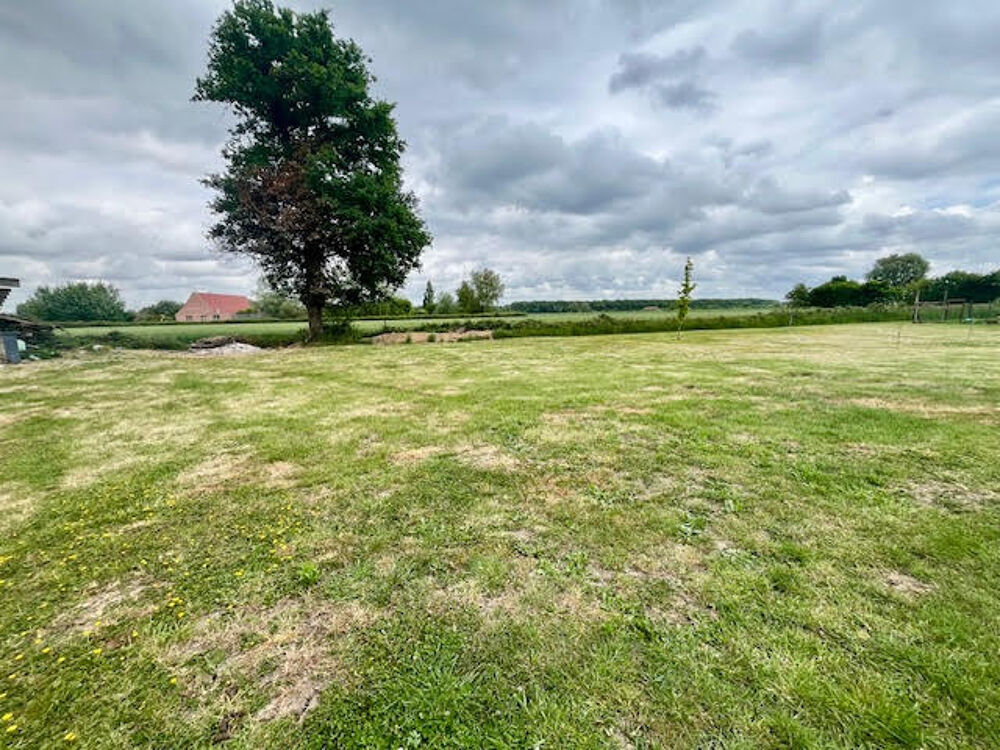 Vente Terrain Terrain � b�tir Morbecque