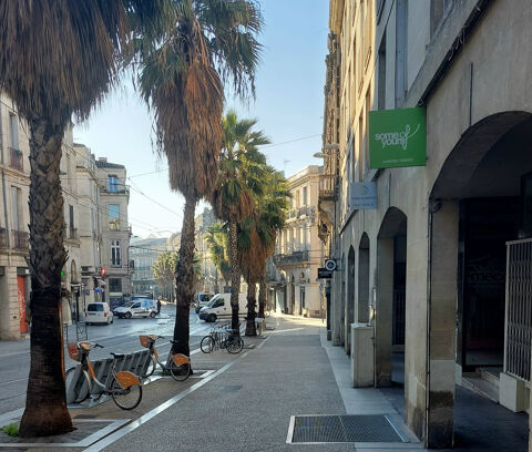 Bureau centre ville 403 34000 Montpellier