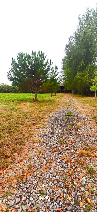  Maison � vendre 1 pi�ce 250 m�